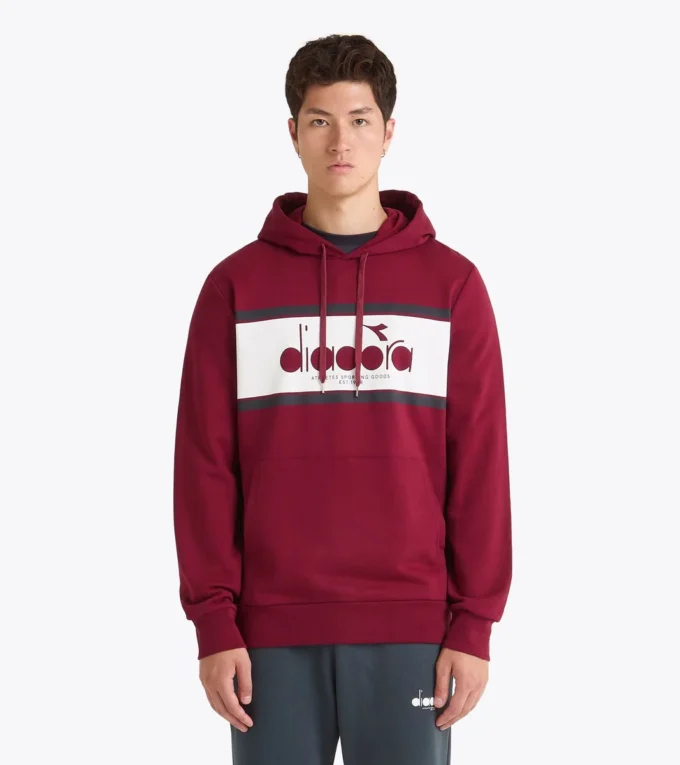 Hoodie Logo Color Block Hoodie