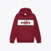 Hoodie Logo Color Block Hoodie