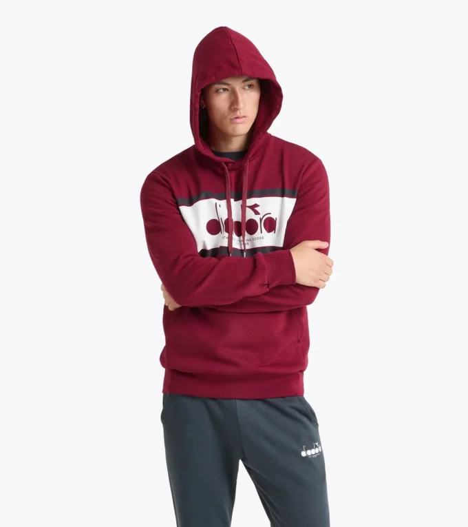 Hoodie Logo Color Block Hoodie