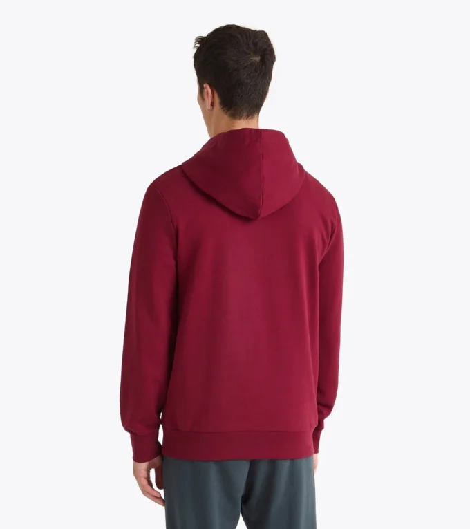 Hoodie Logo Color Block Hoodie