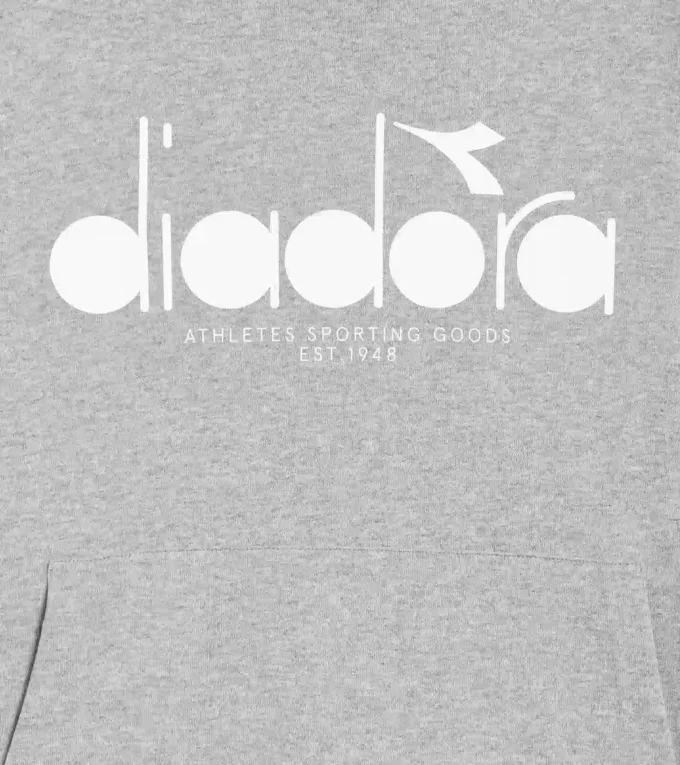 Hoodie Logo Color Block Hoodie