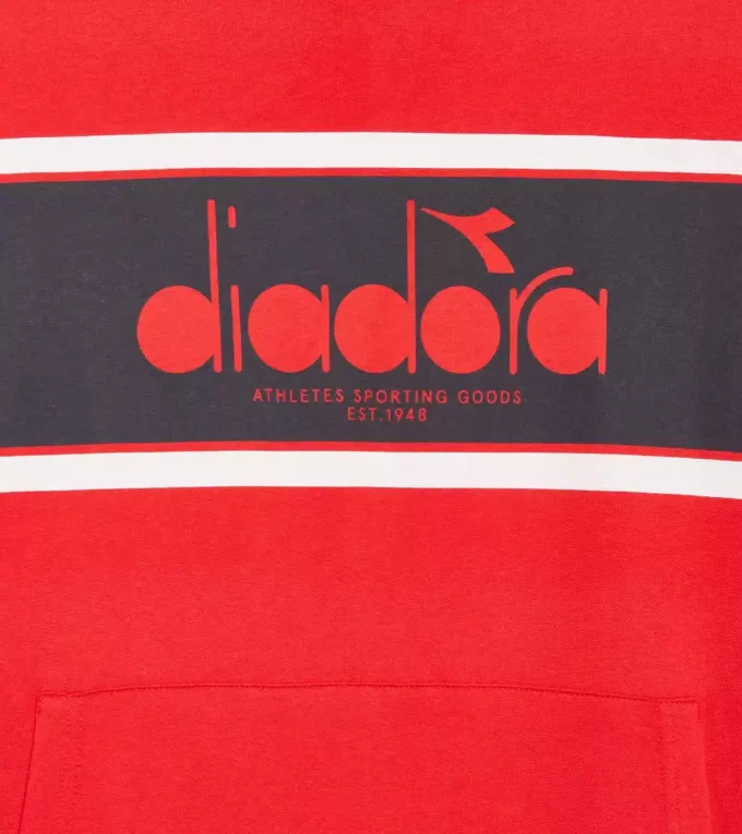 Hoodie Logo Color Block Hoodie